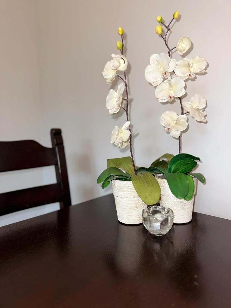 Apartamento Apartament Przy Rynku Poznań